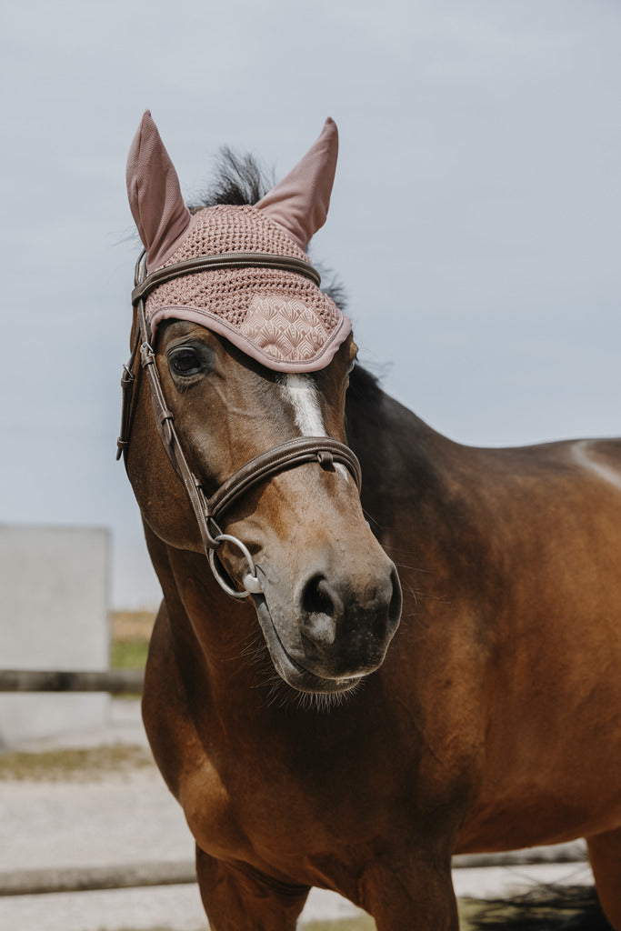 Bonnet Brocart EQUITHEME rose