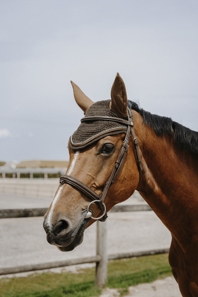 Bonnet Hexalight EQUITHEME marron