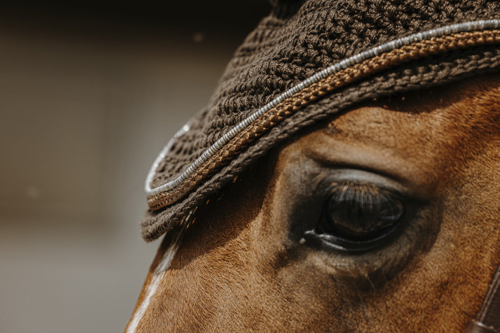 Bonnet Hexalight EQUITHEME marron