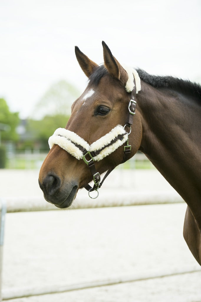Licol EQUITHEME mouton synthétique rouge