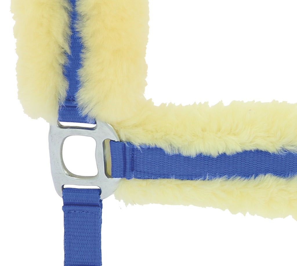 Licol EQUITHEME mouton synthétique bleu roi