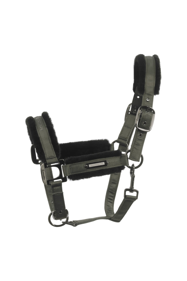 Licol Jany CAVALLO olive