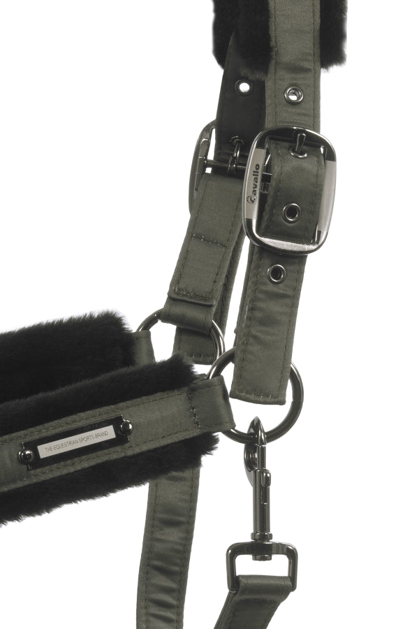 Licol Jany CAVALLO olive