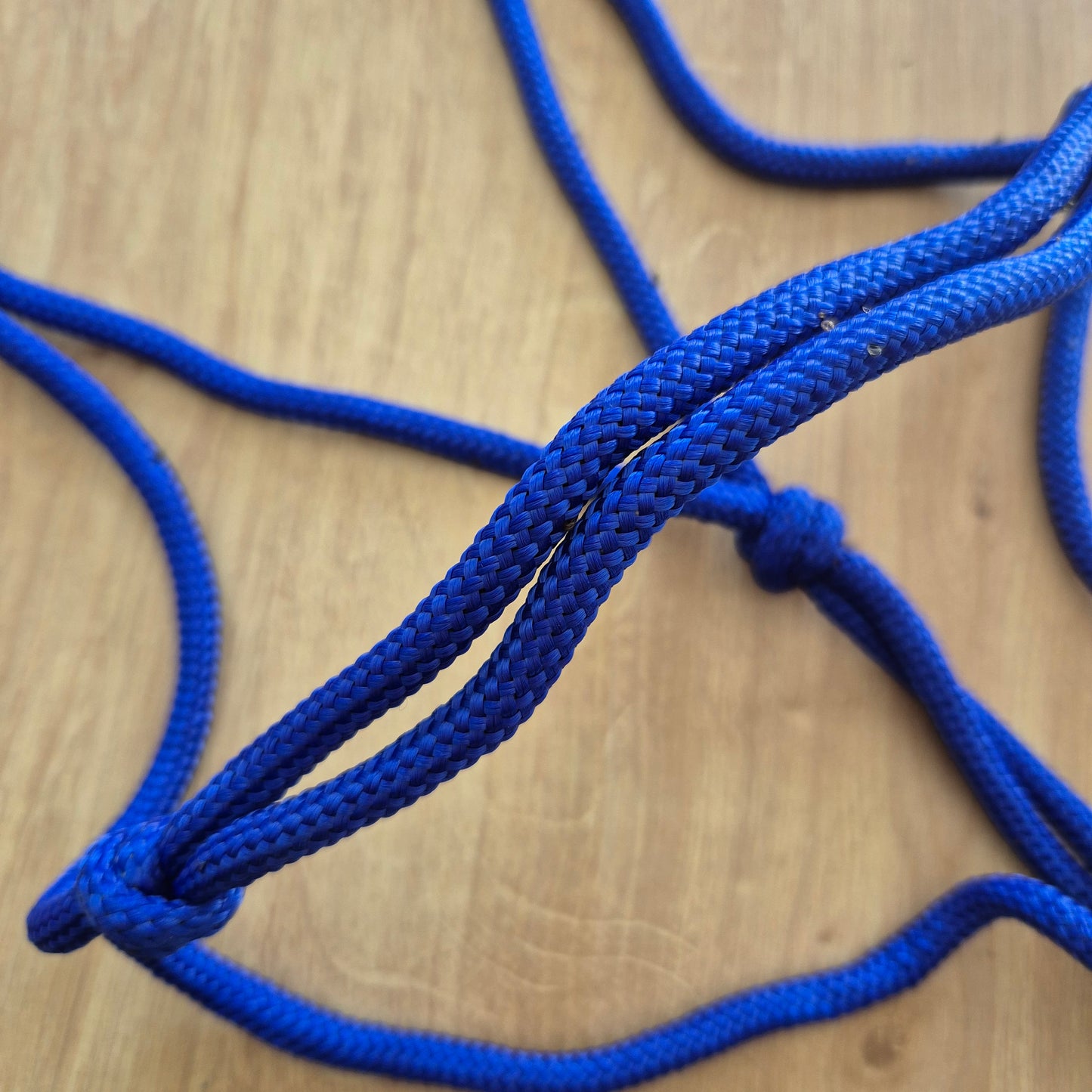 Licol éthologique bleu roi cheval