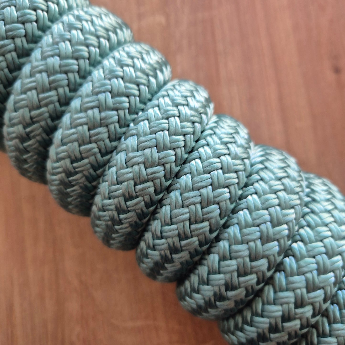 Longe éthologique bleu clair
