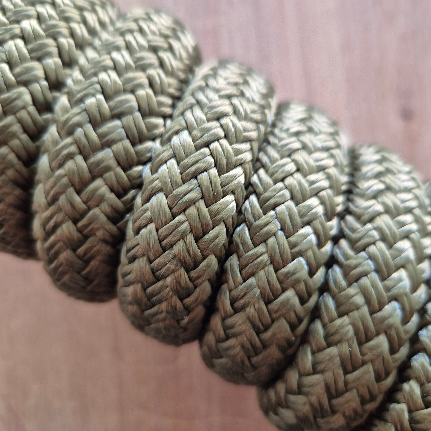 Longe éthologique olive