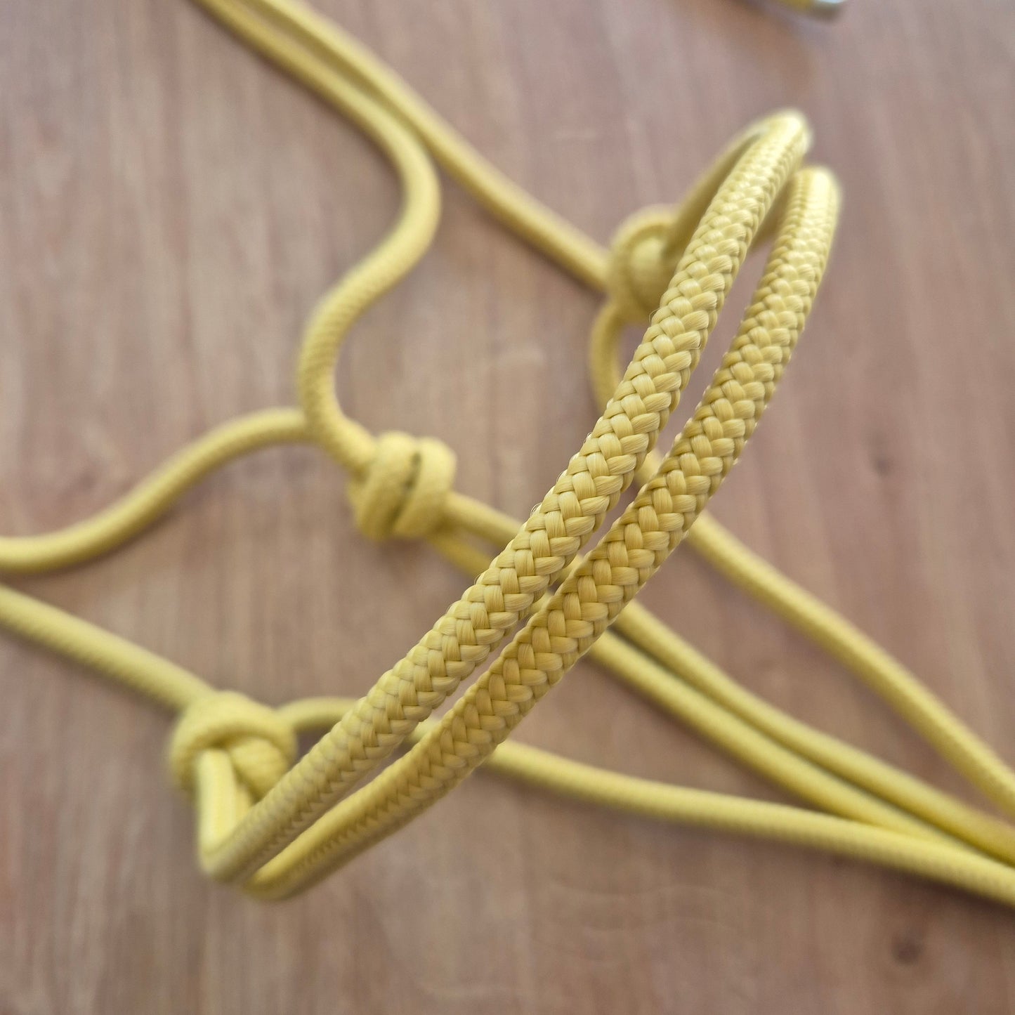 Licol éthologique jaune