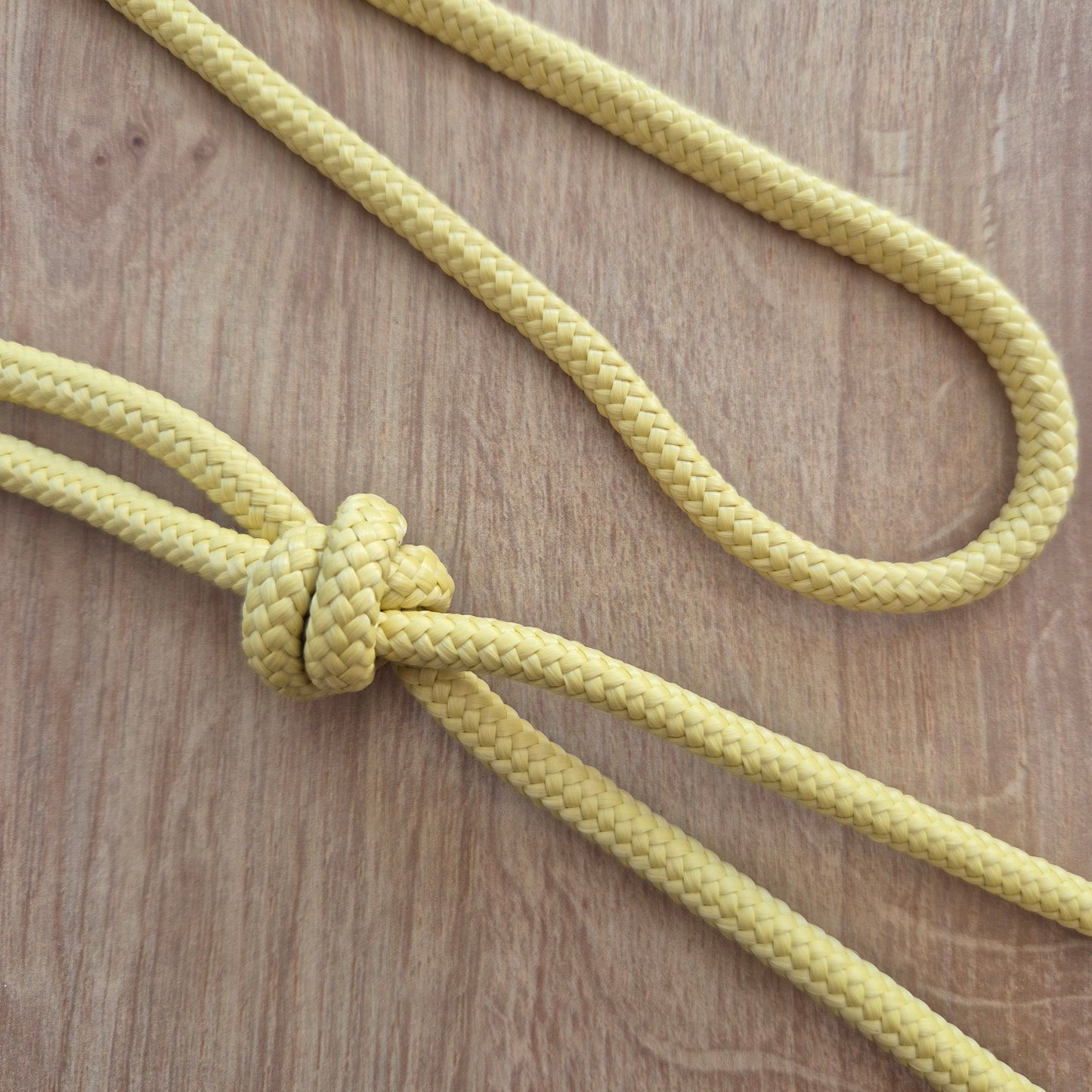 Cordelette éthologique jaune