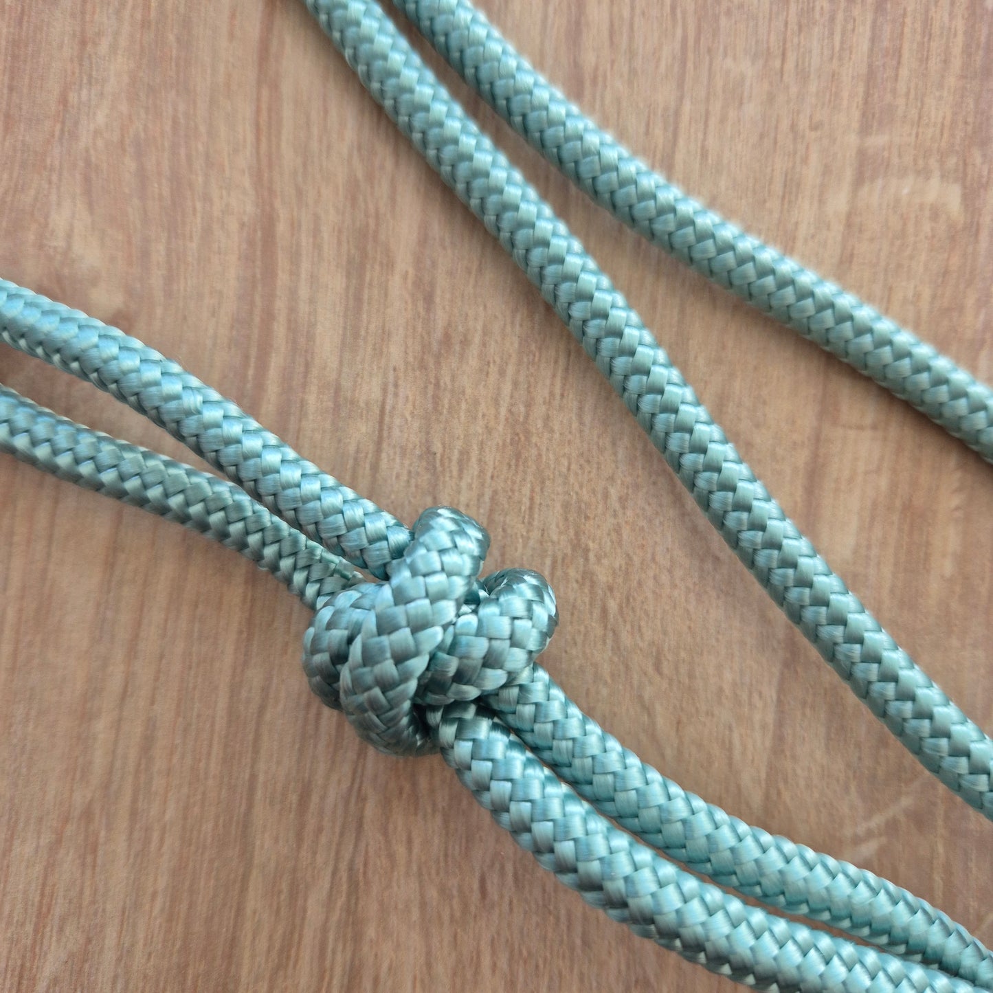 Cordelette éthologique bleu clair