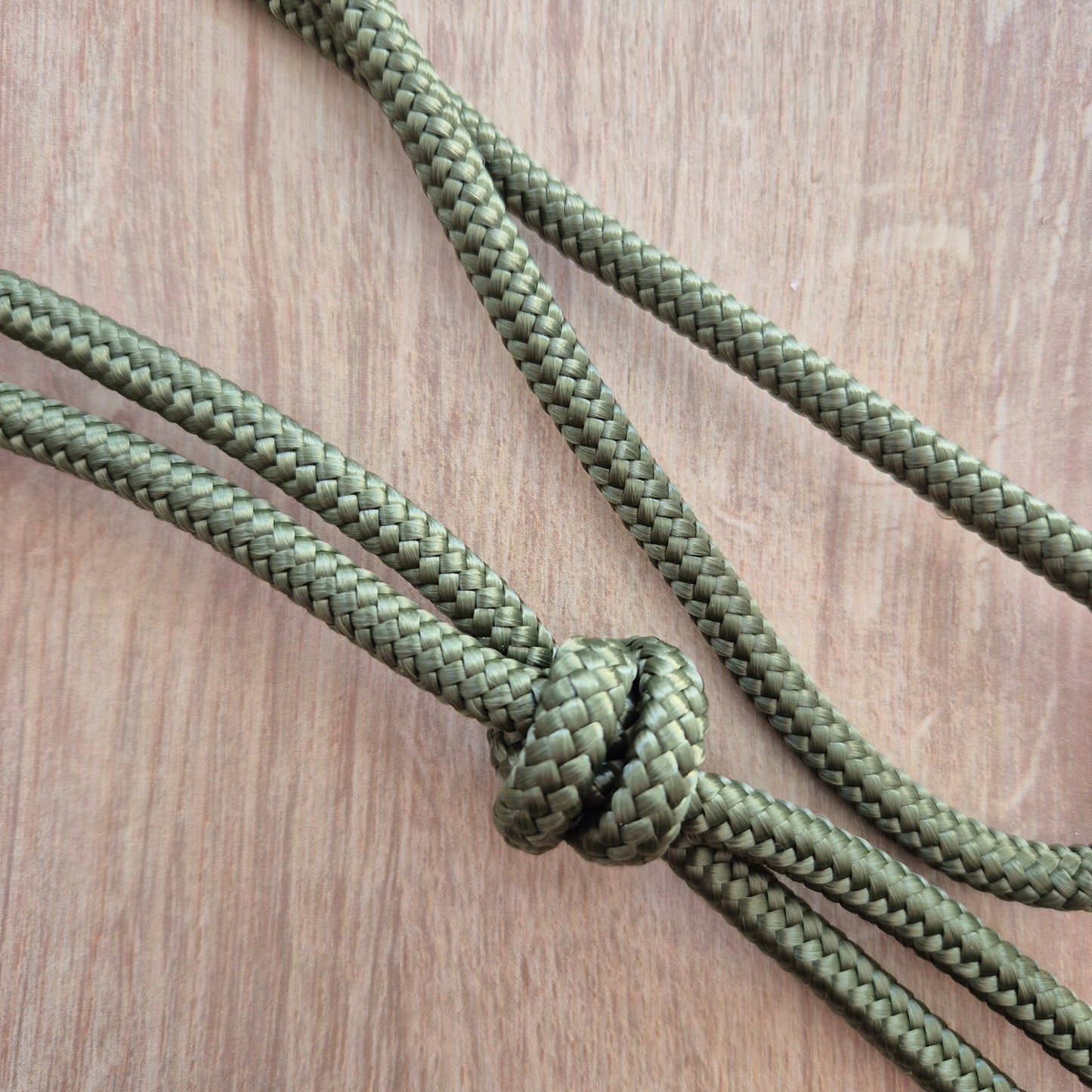 Cordelette éthologique olive