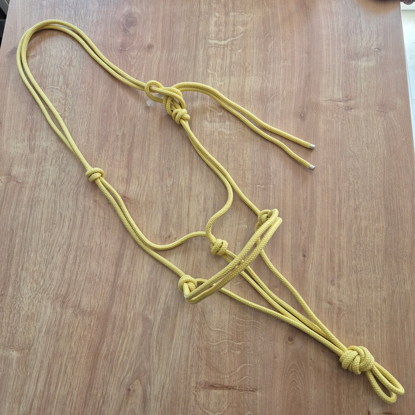 Licol éthologique jaune
