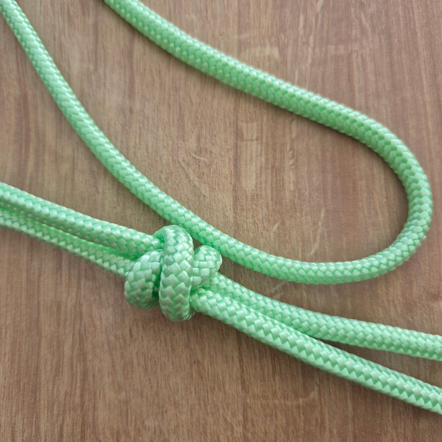 Cordelette éthologique menthe