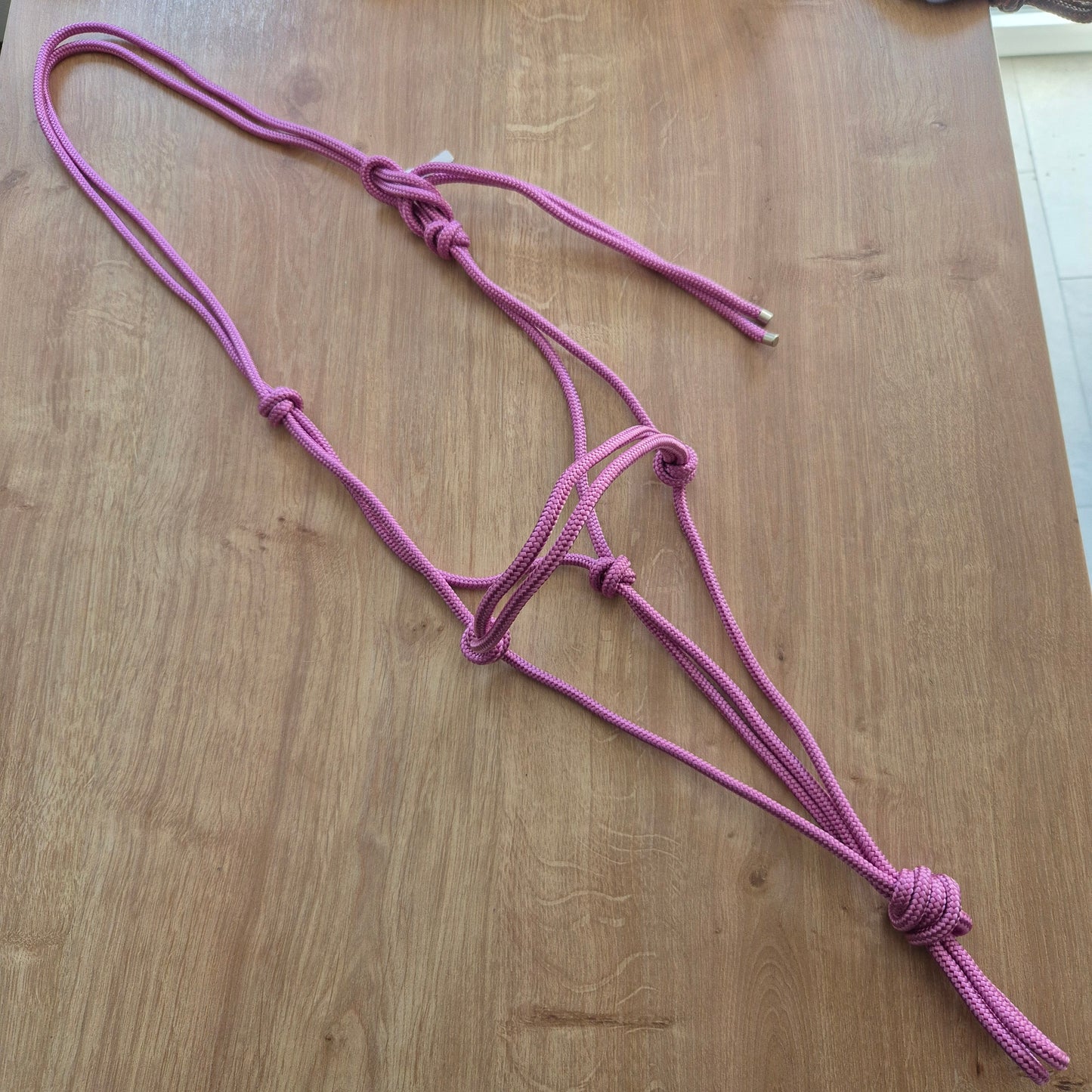 Licol éthologique rose