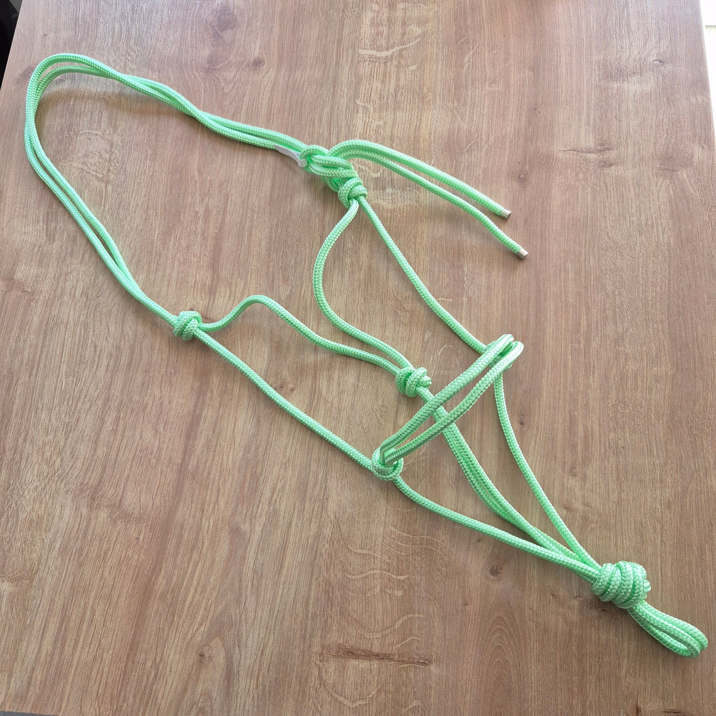 Licol éthologique menthe