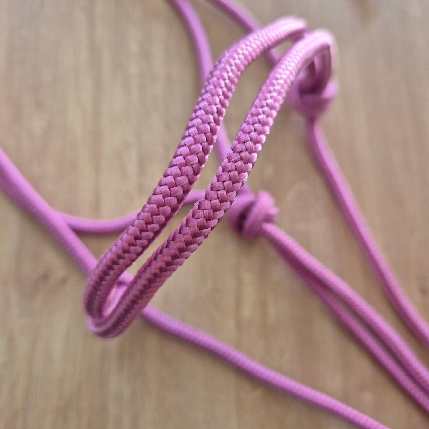 Licol éthologique rose