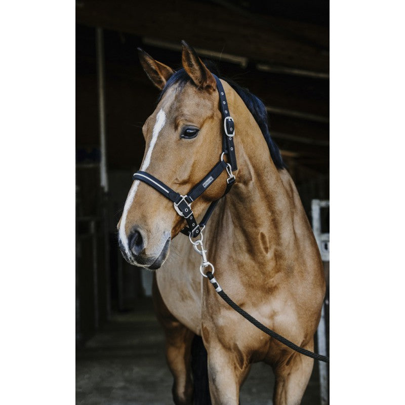Licol et longe French Touch EQUITHEME noir