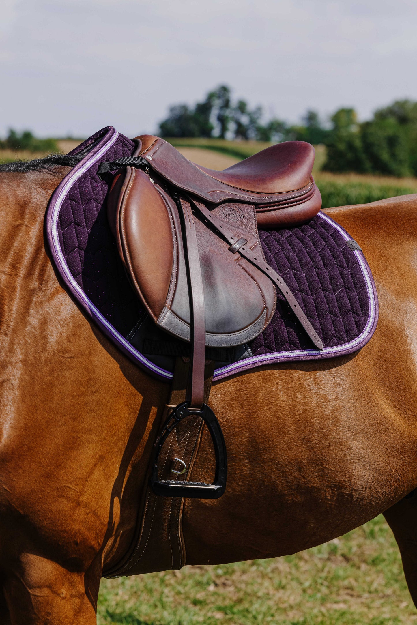 Tapis Eclat EQUITHEME violet