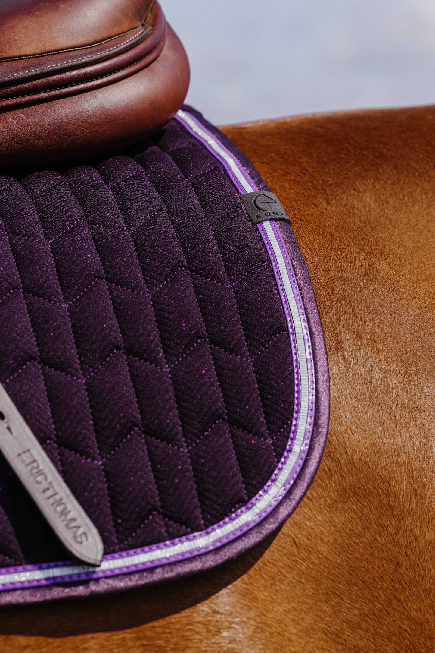 Tapis Eclat EQUITHEME violet