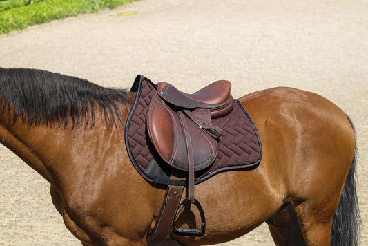 Tapis Impulsion EQUITHEME marron