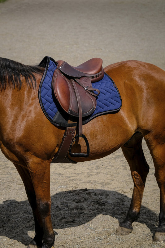 Tapis Impulsion EQUITHEME marine
