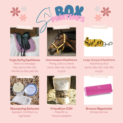 📦 Box de Printemps Horseno 🌸