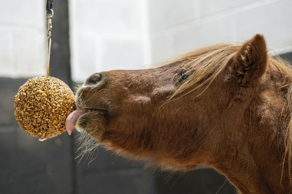 Friandises pour chevaux LIKIT Stall ball