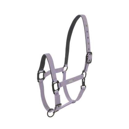 Licol Midnight LAMI-CELL mauve