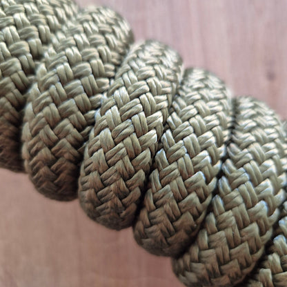 Longe éthologique olive
