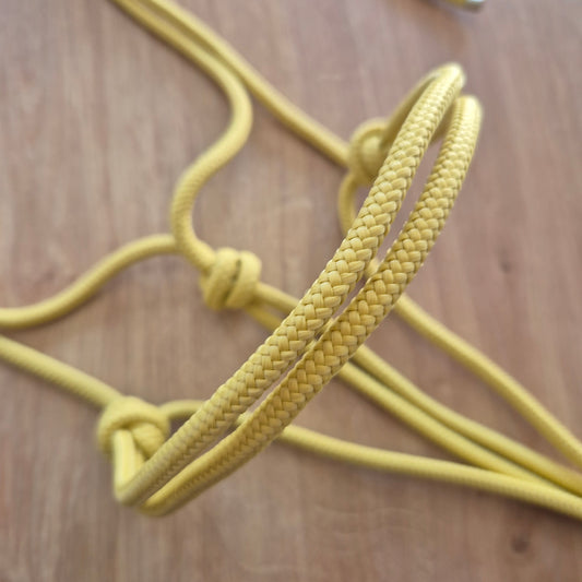 Licol éthologique jaune
