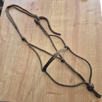 Occasion : licol éthologique cuivre chiné cheval