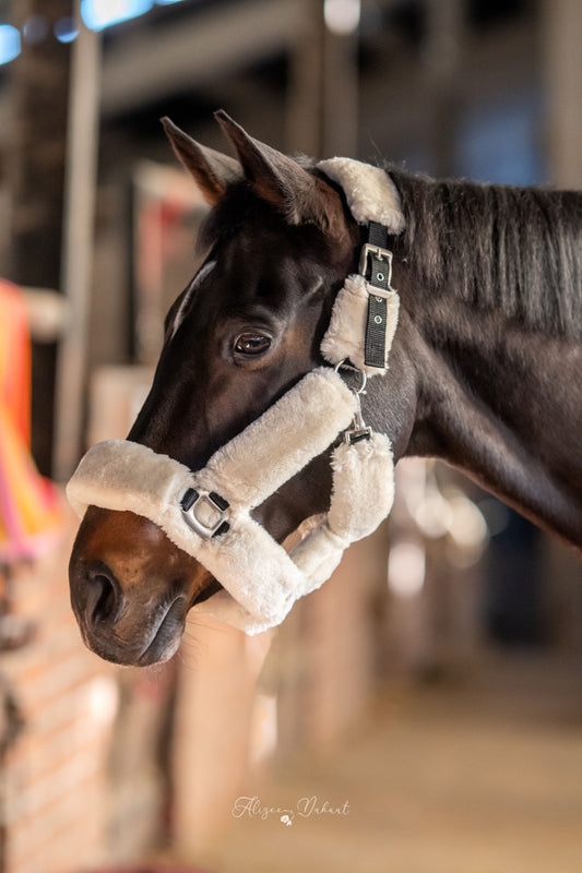 Licols-Longes - Sellerie Equestrial - Passionnément cheval